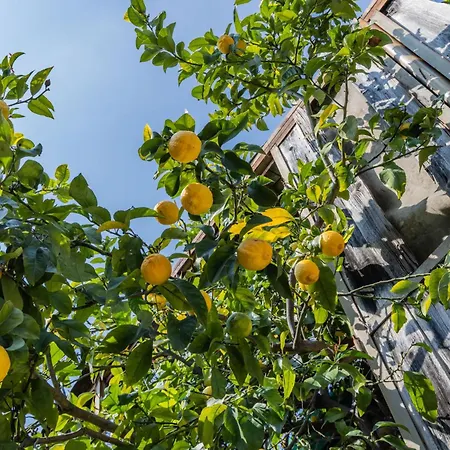 شقة فندقية Borgo Dei Limoni - Con Garage غارنانو