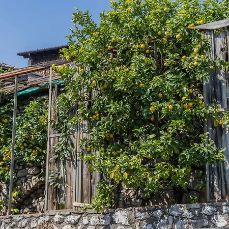 Borgo Dei Limoni - Con Garage شقة فندقية 4*